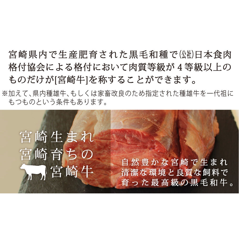 宮崎牛 スネ肉 800g 宮崎県美郷町 Jre Mallふるさと納税