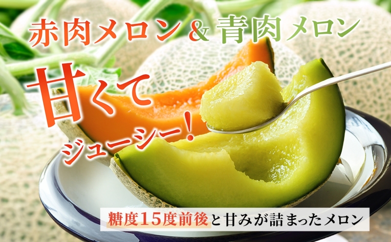 北海道伊達市のふるさと納税 北海道産 有珠メロン 3玉 セット Lサイズ 1.6kg以上 赤肉×1 青肉×2 計3玉 食べ比べ ツル付き 果物 めろん フルーツ くだもの 完熟 旬 ご褒美 ギフト 産地直送 お取り寄せ 北海道 藤川農園 送料無料 伊達