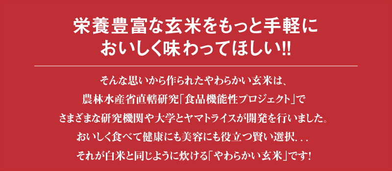 やわらかい玄米 ゆめぴりか 900g×4袋 ※定期便6回 安心安全なヤマト