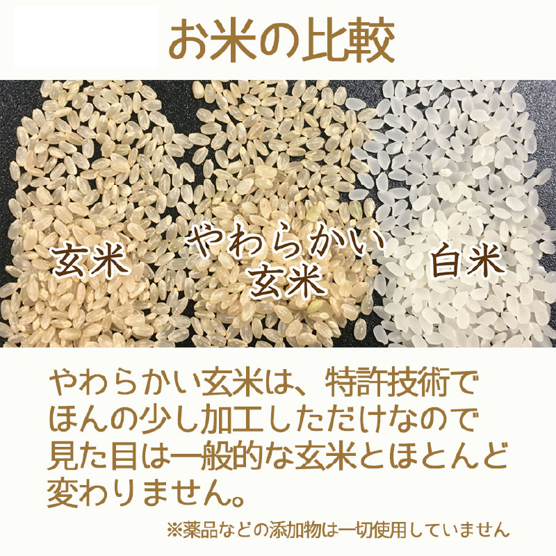 やわらかい玄米 ゆめぴりか 900g×4袋 ※定期便6回 安心安全なヤマト