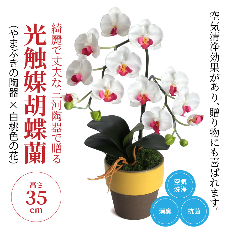 綺麗で丈夫な三河陶器で贈る 光触媒胡蝶蘭小輪１本立 やまぶきの陶器 白桃色の花 H100 038 愛知県碧南市 セゾンのふるさと納税