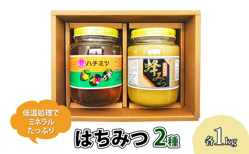 福岡県朝倉市のふるさと納税 はちみつ セット 各1kg×2個 レンゲブレンド 野山のハチミツ 詰め合わせ 食べ比べ 蜂蜜 ハチミツ