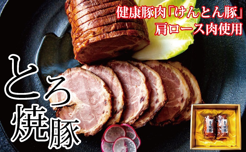 【岐阜県関ケ原町】【飛騨・美濃けんとん】けんとん豚肩ロース肉とろ焼豚(化粧箱入)