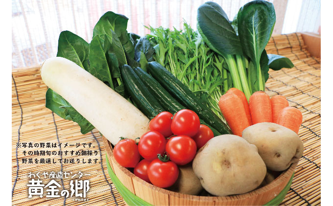 宮城県涌谷町のふるさと納税 黄金の郷　季節のお野菜お楽しみAセット