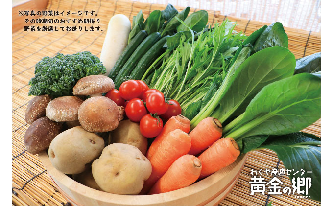 宮城県涌谷町のふるさと納税 黄金の郷　季節のお野菜お楽しみBセット
