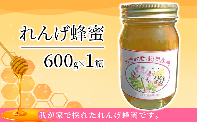 れんげ 蜂蜜 はちみつ 加工食品 岡山県玉野市 セゾンのふるさと納税
