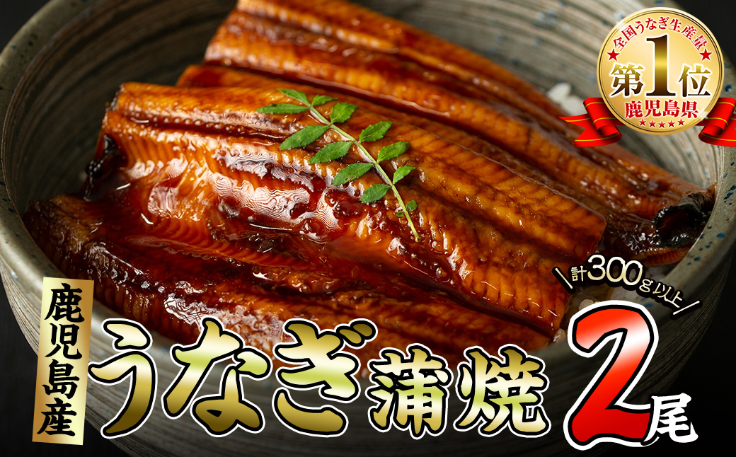 くすだ屋の極上うなぎ 2尾(150g×2)＜計300以上＞ a5-266