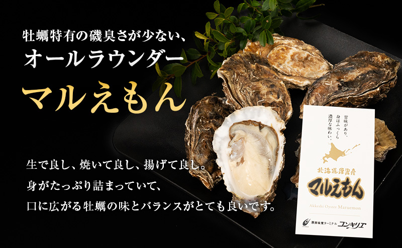 北海道厚岸町のふるさと納税 先行予約 厚岸産 『 マルえもん 』『 カキえもん 』『 弁天かき 』3種 食べ比べ セット  北海道 牡蠣 カキ かき 生食 生食用 生牡蠣