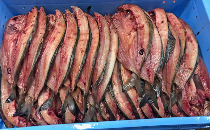 北海道礼文島産 開き根ほっけ(400g以上)×7枚 魚貝類 干物 北海道礼文島産 開き根ほっけ(400g以上)×7枚 魚貝類 干物