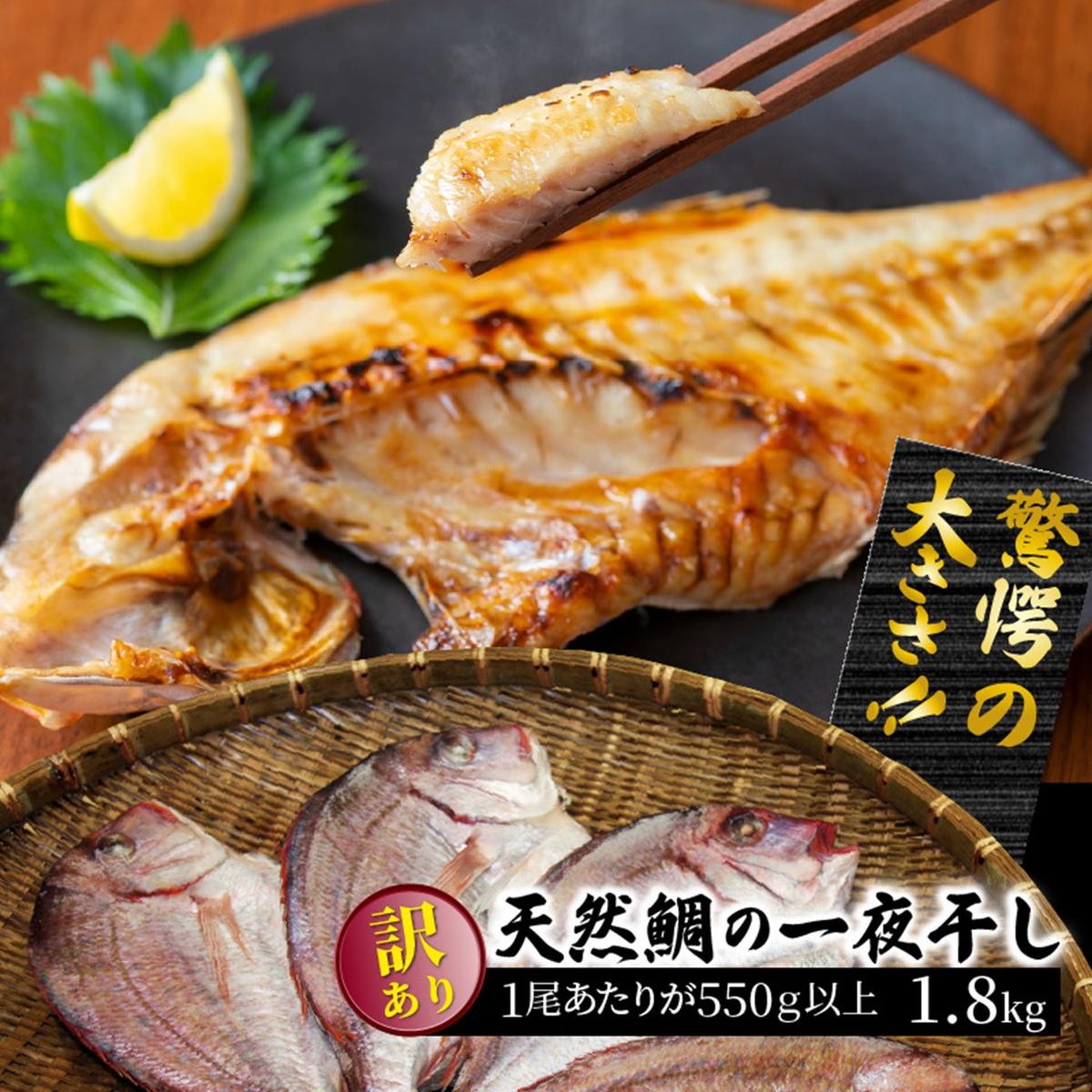 大分県国東市のふるさと納税 驚愕の大きさ！訳あり天然鯛の一夜干し1.8kg_1554R