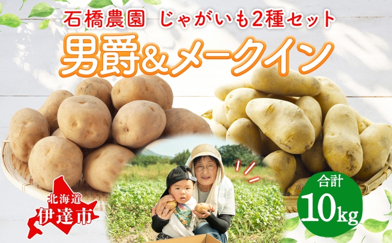  北海道 じゃがいも 2種 男爵 メークイン 食べ比べ セット 各5kg 計10kg LM～2Lサイズ 馬鈴薯 だんしゃく メイクイーン ポテト イモ 根菜 農作物 産地直送