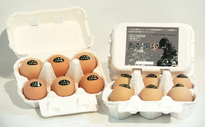 香川県東かがわ市のふるさと納税 いつまでも若々しく！栄養たっぷり！烏骨鶏卵6個入×3パック