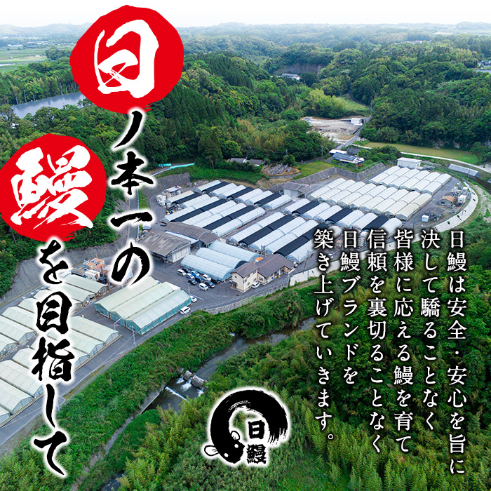 鹿児島県志布志市のふるさと納税 日ノ本一の鰻の蒲焼き＜特大＞3尾セット(計705g以上) c2-009