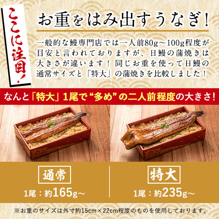 鹿児島県志布志市のふるさと納税 日ノ本一の鰻の蒲焼き＜特大＞3尾セット(計705g以上) c2-009