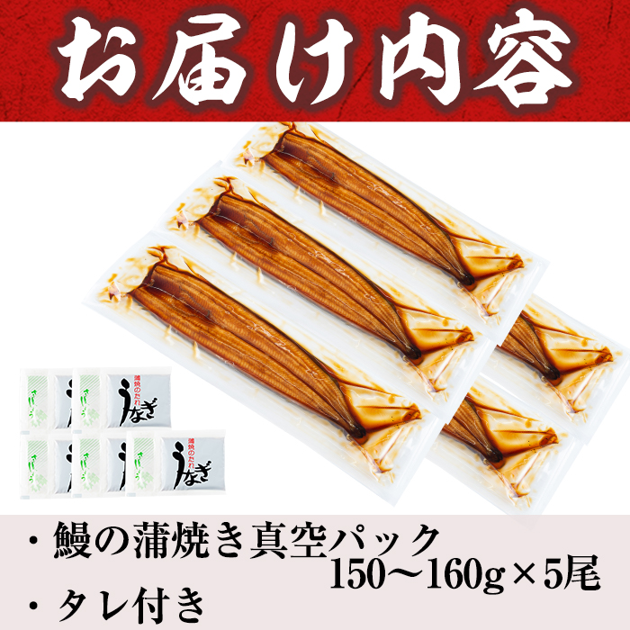 うなぎの大楠＜大＞5尾セット計750g(150g×5) c4-009|大楠鰻株式会社