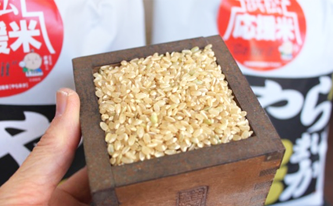 静岡県浜松市のふるさと納税 【令和三年産】新米  特別栽培米  浜松応援米やら米か  玄米20kg
