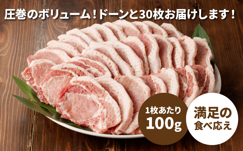 宮崎県木城町のふるさと納税 ★スピード発送★＜贅沢宮崎県産豚肉ロース100gカット30枚＞ K16_0018_1