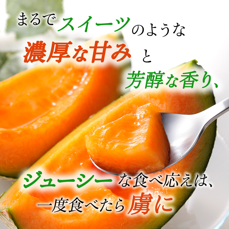 北海道上富良野町のふるさと納税 JAふらの厳選！約1.6kg×5玉 赤肉メロン メロン めろん 富良野メロン 果物 くだもの フルーツ 富良野 デザート 北海道