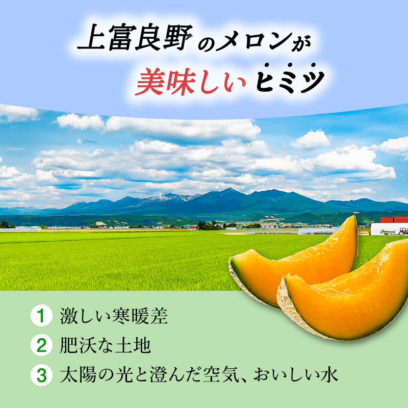 北海道上富良野町のふるさと納税 JAふらの厳選！約1.6kg×5玉 赤肉メロン メロン めろん 富良野メロン 果物 くだもの フルーツ 富良野 デザート 北海道