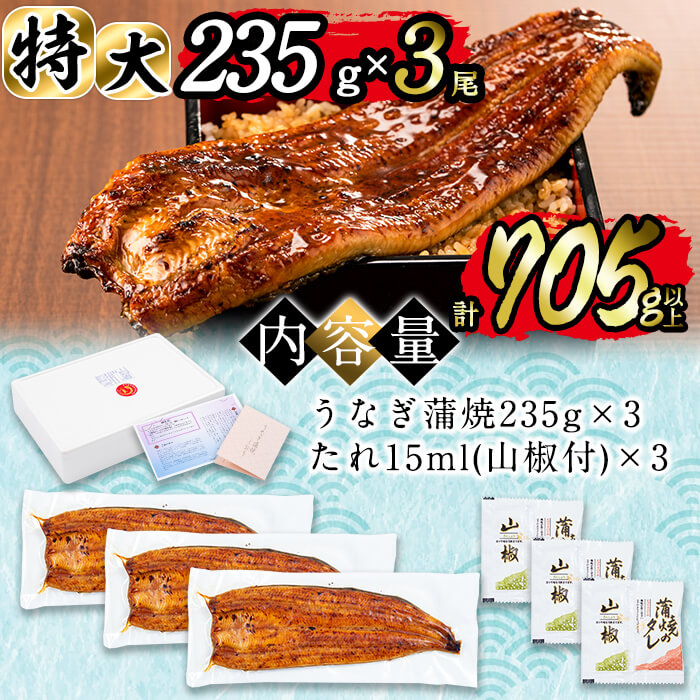 鹿児島県志布志市のふるさと納税 日ノ本一の鰻の蒲焼き＜特大＞3尾セット(計705g以上) c2-009