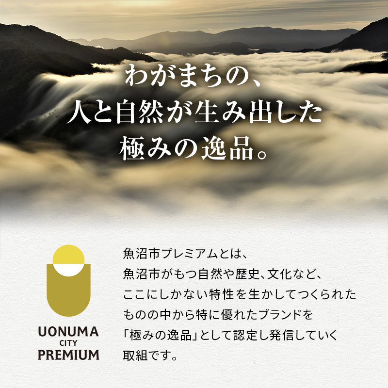 新潟県魚沼市のふるさと納税 ツバメの飛び交う棚田米 5kg袋 12ヶ月 連続お届け ( 米 定期便 お米 こめ コメ おこめ 白米 こしひかり 12回 60kg お楽しみ )