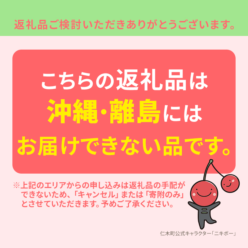 北海道仁木町のふるさと納税 先行予約 農園厳選 さくらんぼ 南陽 2Lサイズ 以上600g（品質： ギフト 向け）