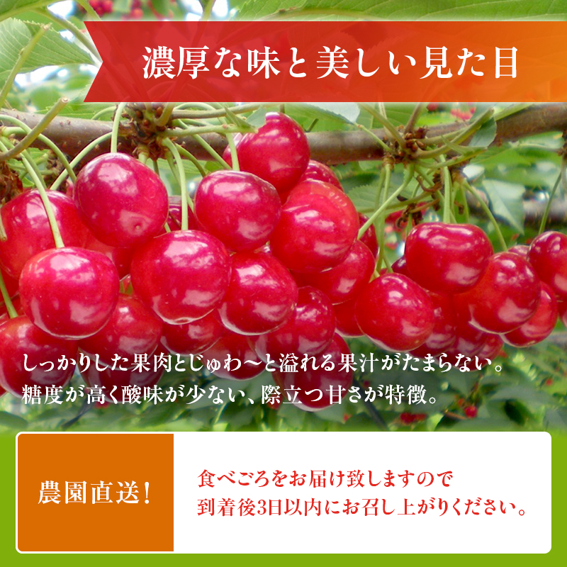 北海道仁木町のふるさと納税 農園厳選さくらんぼ「紅秀峰」2Lサイズ以上1kg（品質：ギフト向け）