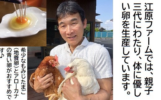 江原ファーム アローカナの青い卵（計２０個） | 卵 20個 玉子 たまご タマゴ 生卵 鶏卵 生みたて 産みたて アローカナ 新鮮 濃厚 健康 青い卵  TKG たまごかけごはん ご飯のお供 国産 ギフト 贈答 贈り物 お中元 お歳暮 プレゼント 茨城県 古河市 直送 農家直送 産地直送