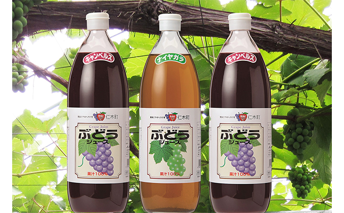 北海道仁木町のふるさと納税 北海道仁木産ぶどうジュース飲み比べセット（キャンベルス、ナイヤガラ）：3本