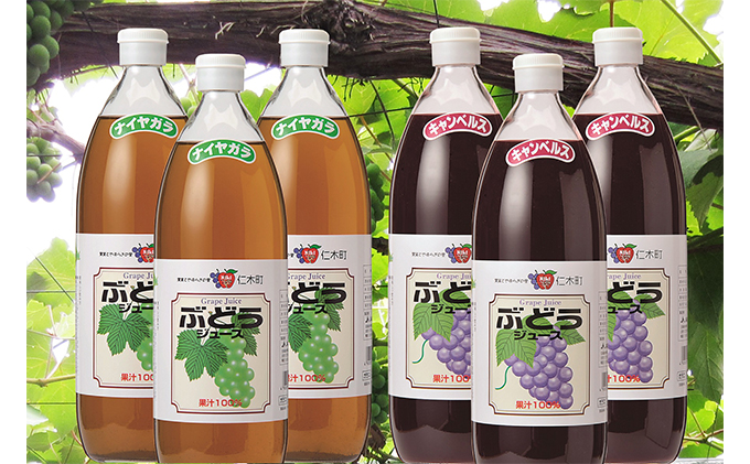 北海道仁木町のふるさと納税 北海道仁木産ぶどうジュース飲み比べセット（キャンベルス、ナイヤガラ）：6本