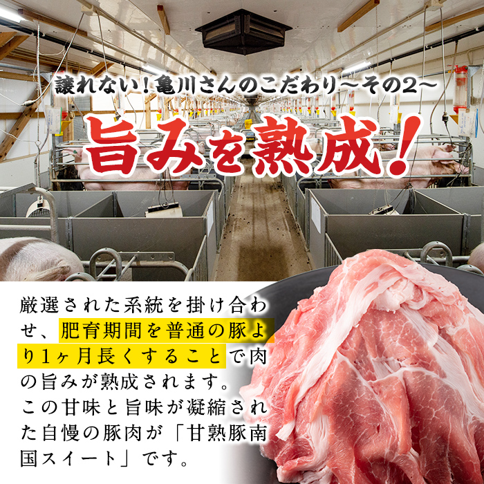 b0-079 甘熟豚南国スイート豚肉(6種・4.5kg) / 鹿児島県志布志市 | セゾンのふるさと納税