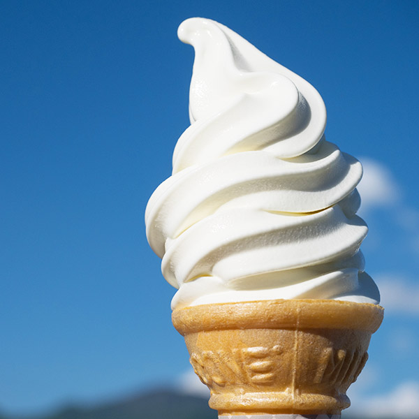 北海道弟子屈町のふるさと納税 1333.アイスクリーム ジェラート 食べ比べ 8個 アイス A セット 手作り 北海道 弟子屈町