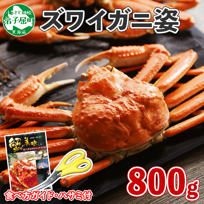 蟹姿　800g　1719.　ボイルズワイガニ姿　弟子屈町　姿　カニ姿　食べ方ガイド・専用ハサミ付　カニ　かに姿　蟹　かに　ボイル　北海道弟子屈町　送料無料　北海道　セゾンのふるさと納税