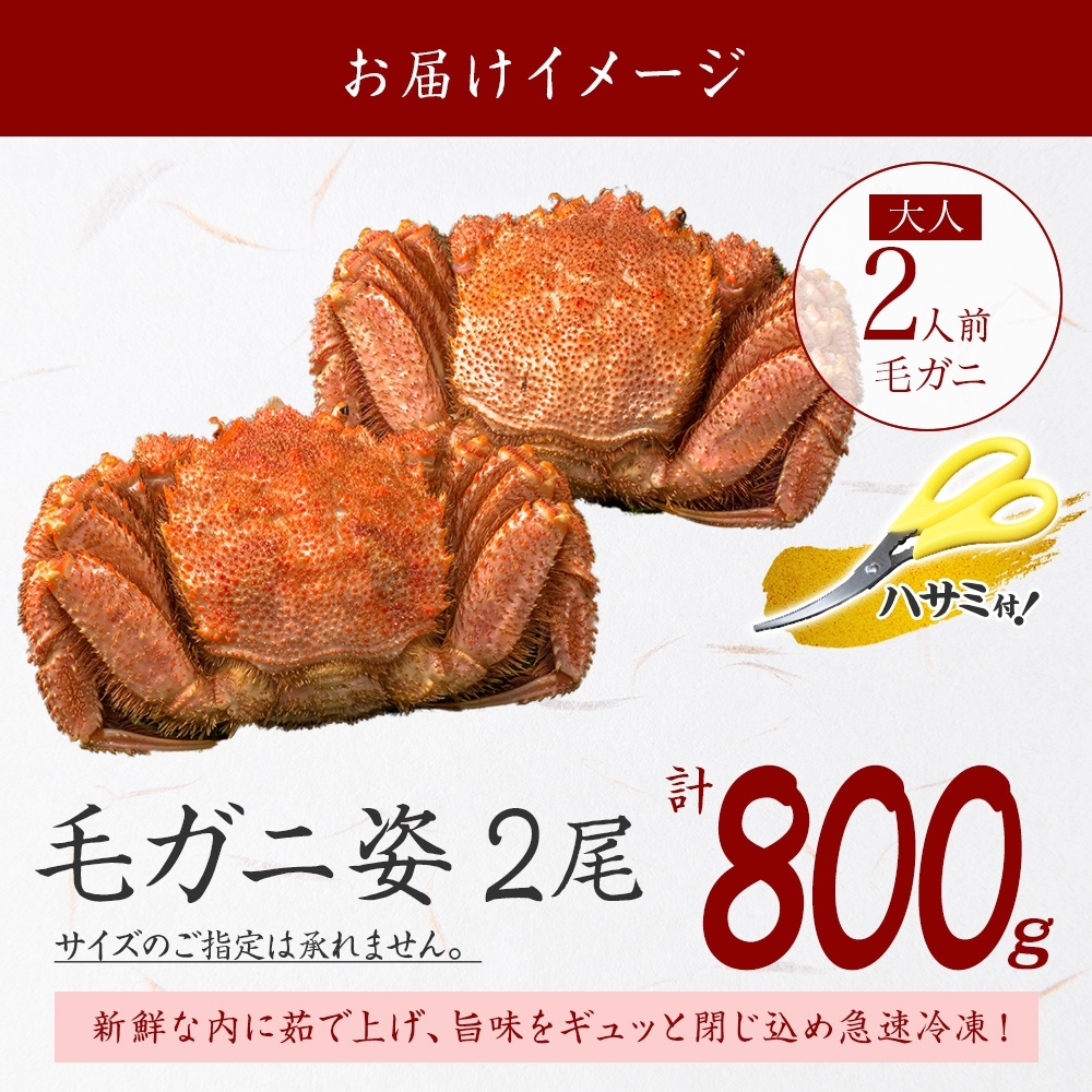 北海道弟子屈町のふるさと納税 2563. 毛蟹 2尾 計800g前後 食べ方ガイド・専用ハサミ付 カニ かに 蟹 海鮮 ボイル 送料無料 北海道 弟子屈町