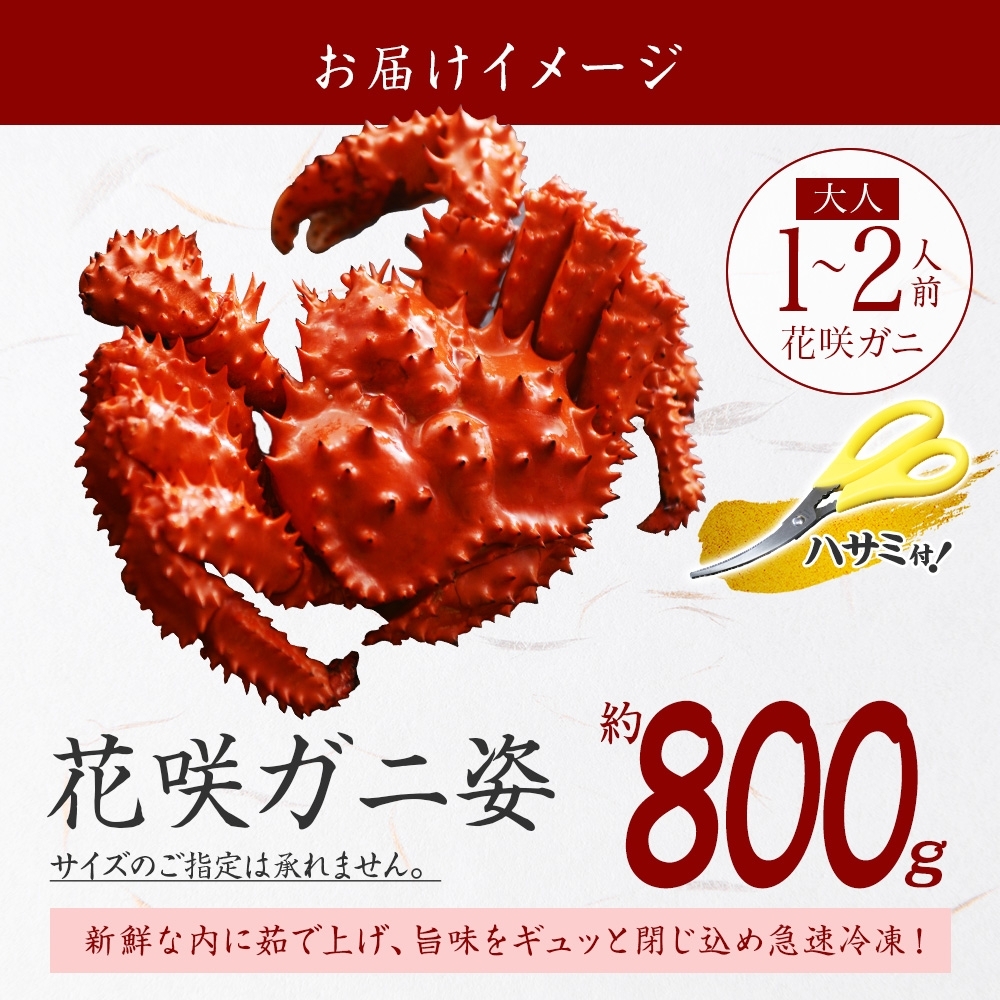 2927.ボイル花咲蟹姿 800g 食べ方ガイド・専用ハサミ付 カニ かに 蟹 送料無料 北海道 弟子屈町|加藤水産