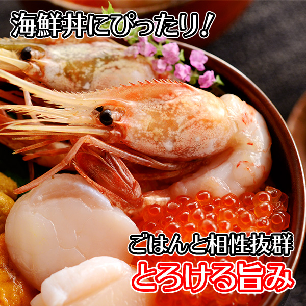 1311. ボタンエビ 500g えび エビ 海老 お刺身 魚介 海鮮 送料無料 北海道 弟子屈町|加藤水産