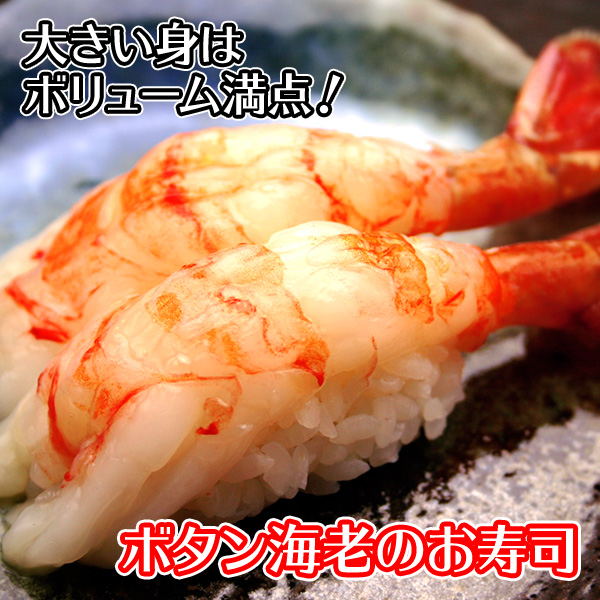 1311. ボタンエビ 500g えび エビ 海老 お刺身 魚介 海鮮 送料無料