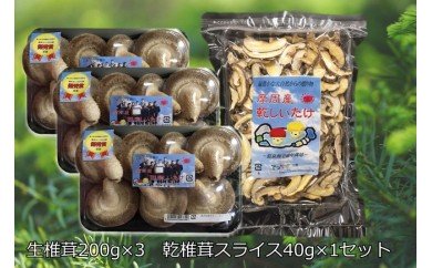 143.摩周産 菌床生しいたけ・乾燥しいたけセット(生200g×3パック、乾燥40g×1袋)