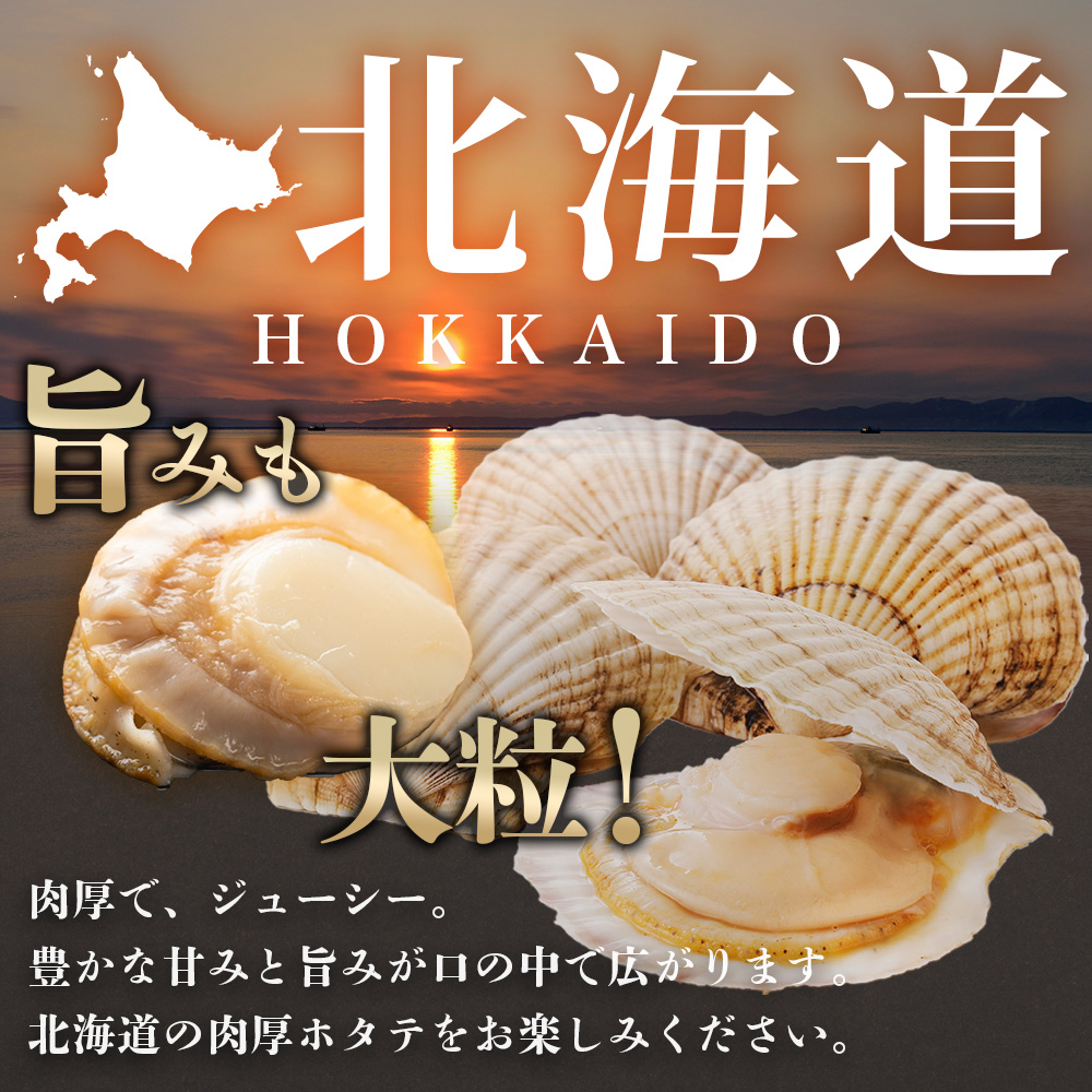 北海道弟子屈町のふるさと納税 2947.ボイル ほたて 500g ホタテ 2Lサイズ 大粒 帆立 魚介 海鮮 貝 お取り寄せ グルメ 贈り物 冷凍 送料無料 北海道 弟子屈町