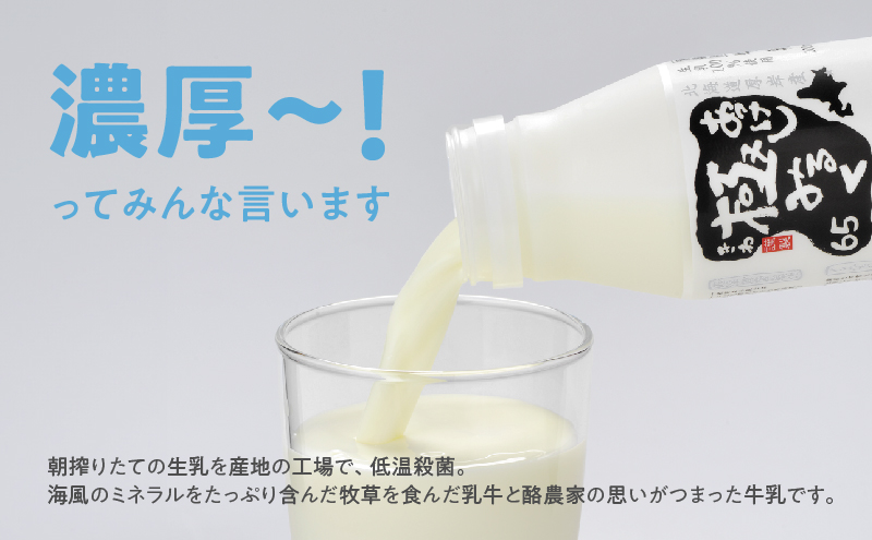 北海道厚岸町のふるさと納税 北海道 厚岸産 牛乳 あっけし極みるく65 200ml×15本セット (200ml×15本,合計3L) 乳 ミルク