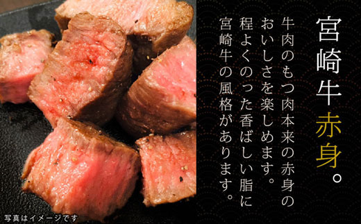 宮崎県美郷町のふるさと納税 宮崎牛赤身ステーキ300g(150g×2)