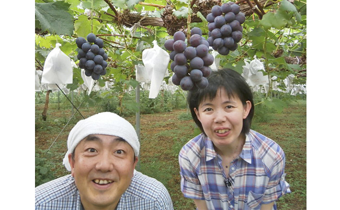 山口県萩市のふるさと納税 紫福産ピオーネのワイン＆萩むつみ豚のジャーキーのセット