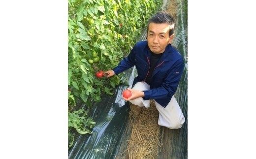 埼玉県飯能市のふるさと納税 完熟とまとの新井園 トマトジュース（10本）