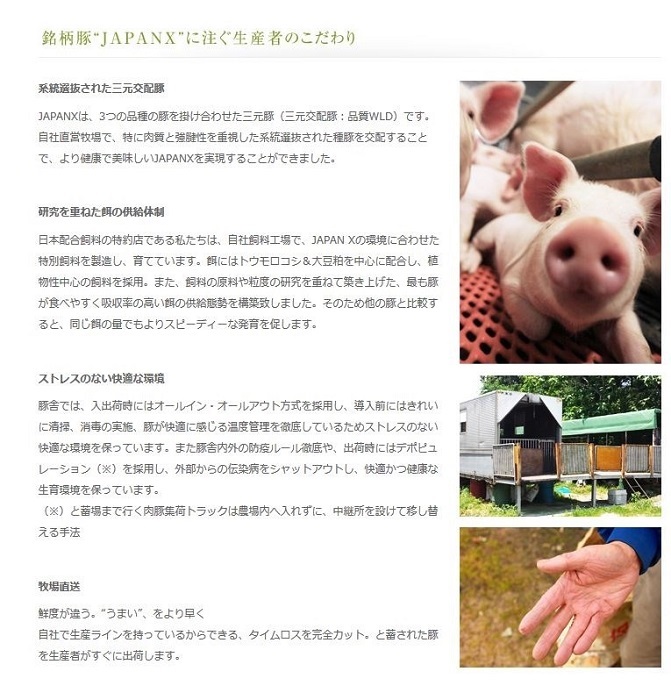 宮城県蔵王町のふるさと納税 JAPAN10 蔵王からの贈りもの（豚小間、ハンバーグ、肉団子）2，070g