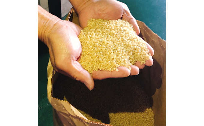 あいちのかおり 玄米 10kg（愛知県愛西市） | ふるさと納税サイト「ふるさとプレミアム」