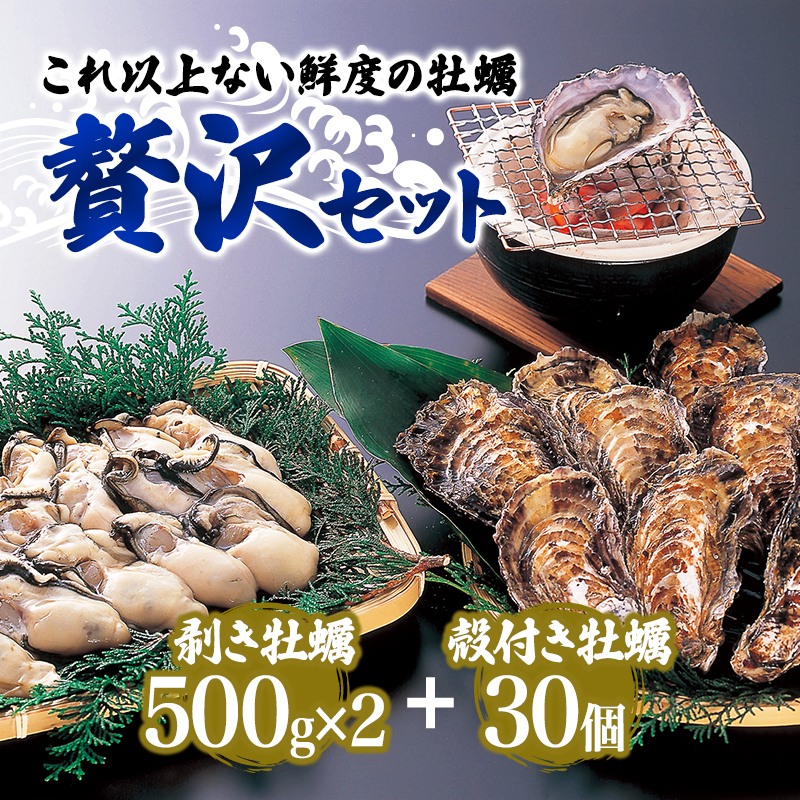 兵庫県赤穂市のふるさと納税  牡蠣 坂越かき 剥き牡蠣 500g×2、殻付き牡蠣 24個 軍手・オイスターナイフ付き[ 生牡蠣 かき カキ 生食 冬牡蠣 ]