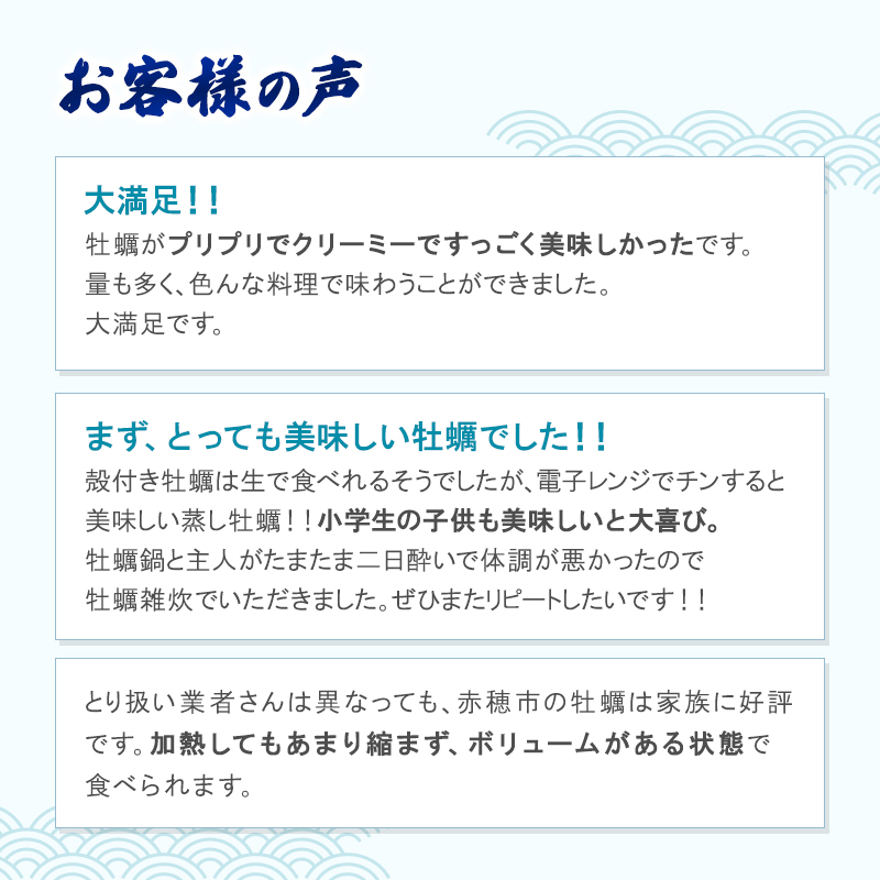 兵庫県赤穂市のふるさと納税  牡蠣 坂越かき 剥き牡蠣 500g×2、殻付き牡蠣 24個 軍手・オイスターナイフ付き[ 生牡蠣 かき カキ 生食 冬牡蠣 ]