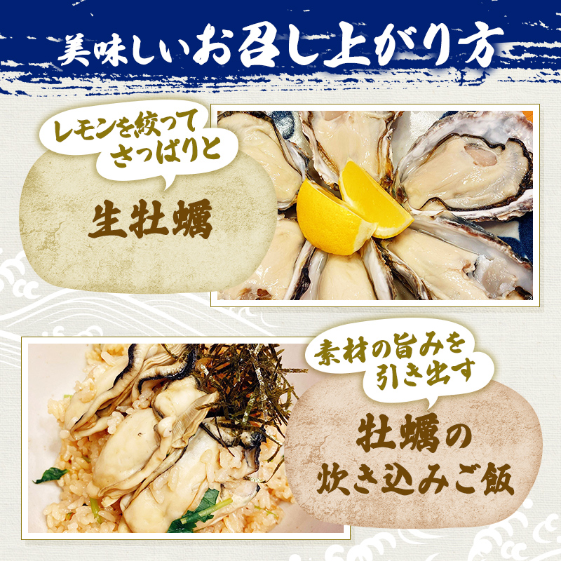 兵庫県赤穂市のふるさと納税  牡蠣 坂越かき 剥き牡蠣 500g×2、殻付き牡蠣 24個 軍手・オイスターナイフ付き[ 生牡蠣 かき カキ 生食 冬牡蠣 ]