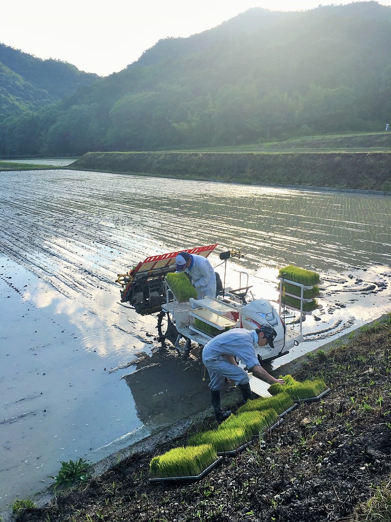 兵庫県西脇市のふるさと納税 「醸し人九平次 純米大吟醸」飲み比べ５本セット（720ml×5本）《西脇市産山田錦使用日本酒》