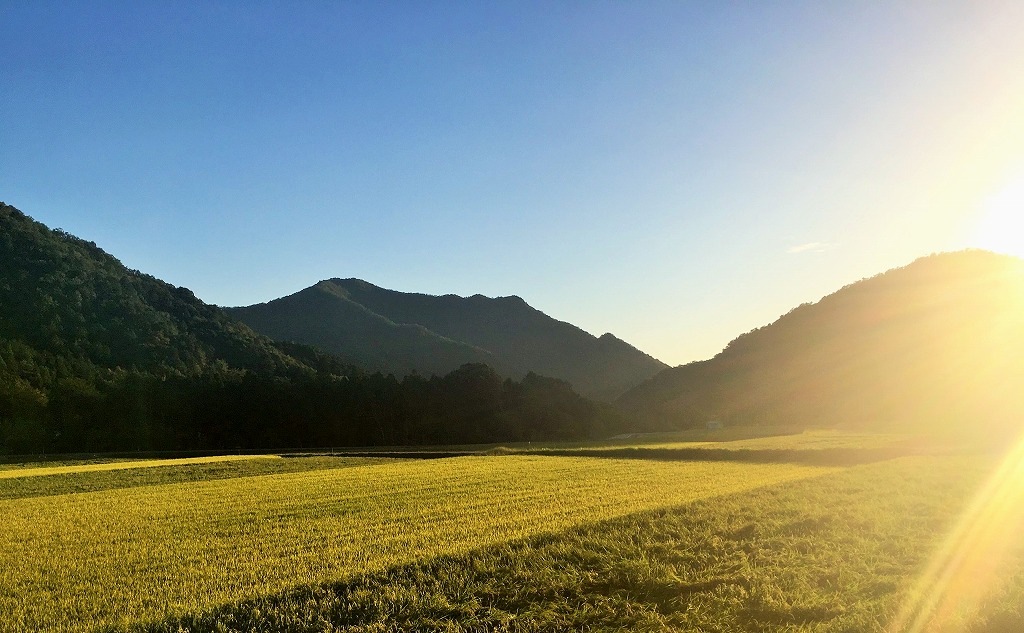 兵庫県西脇市のふるさと納税 「醸し人九平次 純米大吟醸」飲み比べ５本セット（720ml×5本）《西脇市産山田錦使用日本酒》